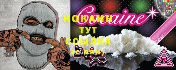 ГАЛЛЮЦИНОГЕННЫЕ ГРИБЫ Абаза