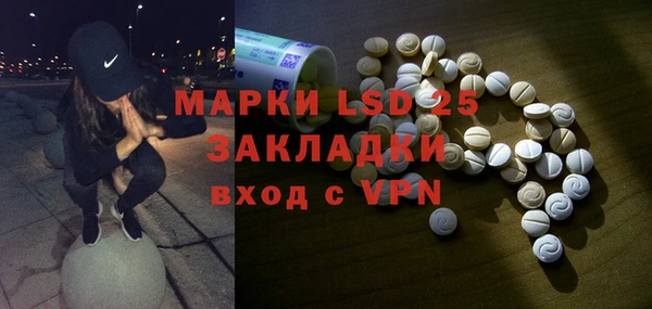 PSILOCYBIN Семёнов